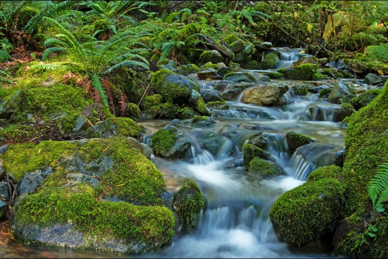 Mount Baker Wilderness Area.